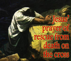 Jesus' prayer of rescue